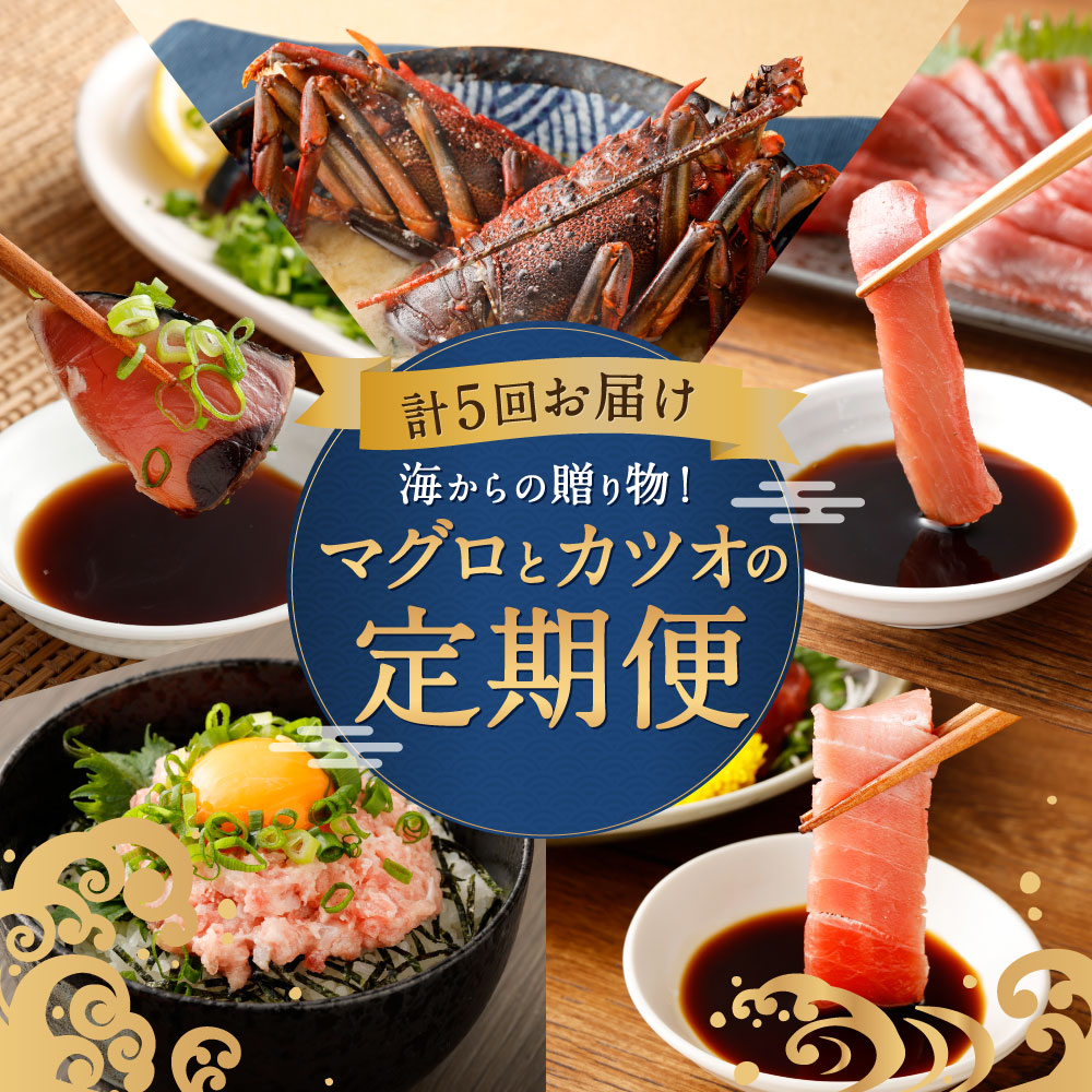 海からの贈り物！マグロとカツオの定期便【５回お届け】 海鮮 魚 刺身 まぐろ 鮪 かつお 鰹 たたき 高知