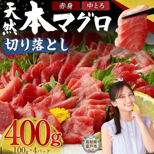 天然本マグロ 赤身 中とろ 切落し 400g 冷凍 小分け お手軽 切り落とし 訳あり 簡単調理 刺身