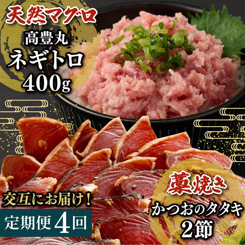 【交互定期便 / ４ヶ月連続】 土佐流藁焼きかつおのたたき2節と高豊丸ネギトロ400ｇ