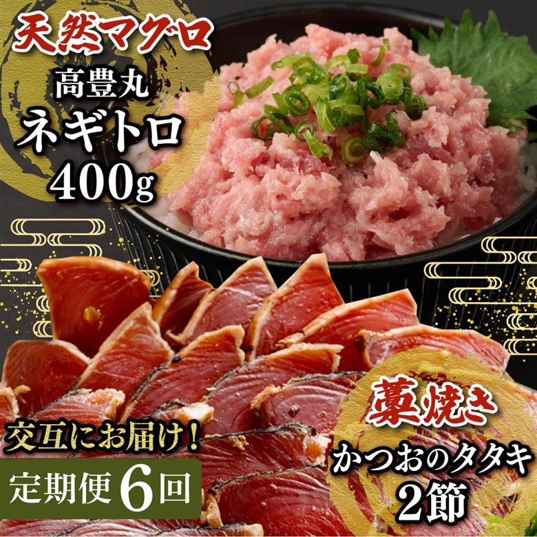 【交互定期便 / ６ヶ月連続】 土佐流藁焼きかつおのたたき2節と高豊丸ネギトロ400ｇ