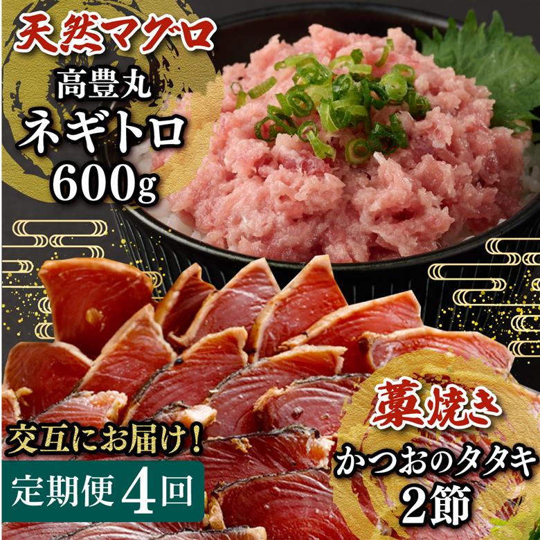 【交互定期便 / ４ヶ月連続】 土佐流藁焼きかつおのたたき２節と高豊丸ネギトロ６００ｇ