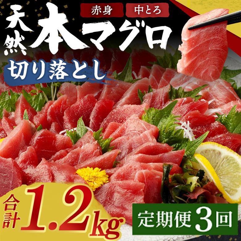 【定期便 / ３ヶ月連続】 天然本マグロ (赤身・中とろ) 切り落とし 合計1.2㎏  (100g×4パック×３回) マグロ 刺身 刺し身 魚 惣菜 海鮮丼 魚介類 食べきりサイズ 小分け 冷凍 訳あり 不揃い 定期 連続 tk072