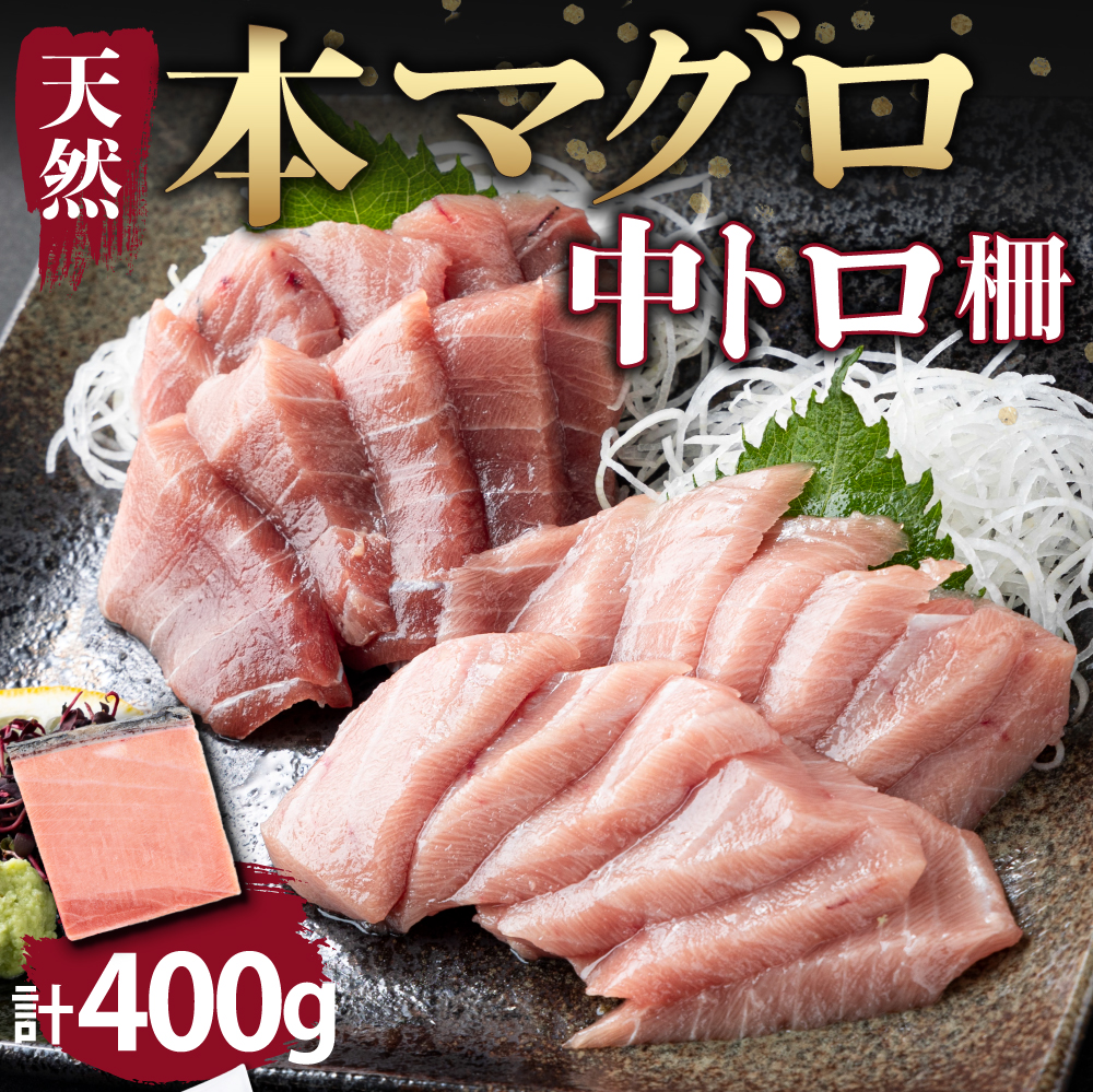 厳選！ 天然本まぐろ 中トロ ４００ｇ お刺身用 天然まぐろ 天然マグロ まぐろ 鮪 刺身 お刺身 サク 柵 高知 室戸 冷凍 瞬間冷凍 小分け 便利 父の日