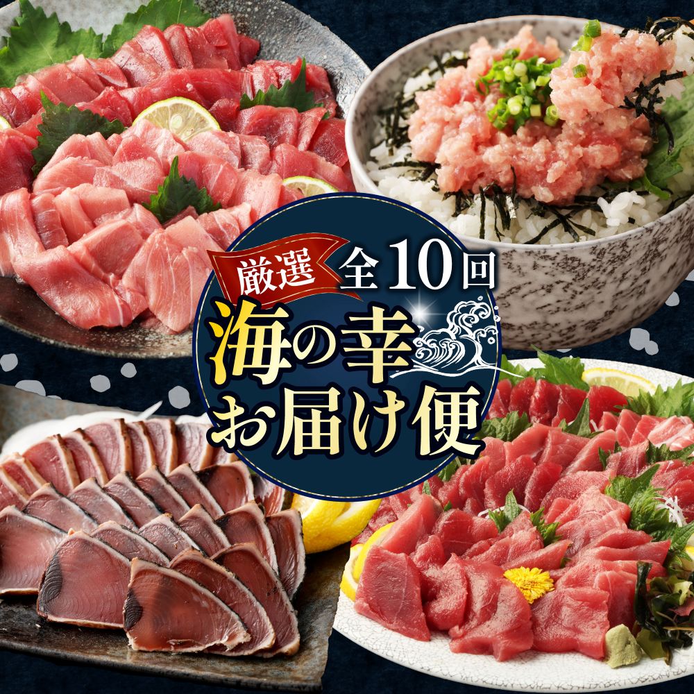 【 全10回定期便 】 厳選 高知の海鮮セット 本まぐろ かつおのたたき ネギトロ 魚介 海鮮 定期便 福袋 食べ比べ 贅沢