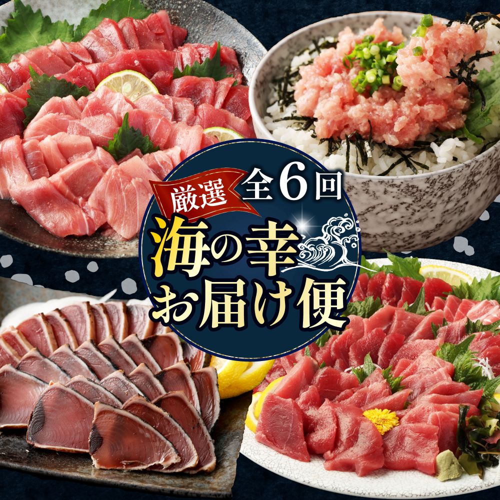 【 全6回定期便 】 厳選 高知の海鮮セット 本まぐろ かつおのたたき ネギトロ 海鮮 魚介 魚 福袋 定期便 詰め合わせ 食べ比べ 贅沢
