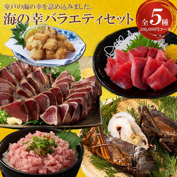 室戸の海の幸バラエティセット 5種詰め合わせ 100,000円コース まぐろ マグロ カツオ かつおたたき 伊勢海老 伊勢えび  ネギトロ 福袋 セット 正月 高知 室戸