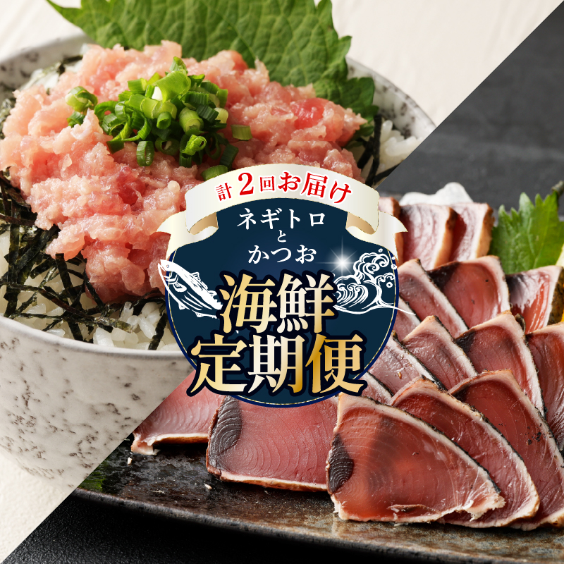 【 全2回定期便 】ネギトロ と カツオ の 定期便 海鮮 鮪 鰹 定期 セット まぐろ カツオのたたき ネギトロ 中トロ 刺身 海鮮 鰹 冷凍 魚 海産物 魚介類 高知県 まぐろたたき 鮪 藁焼き わら焼き タカシン定期便 海鮮定期便 頒布会