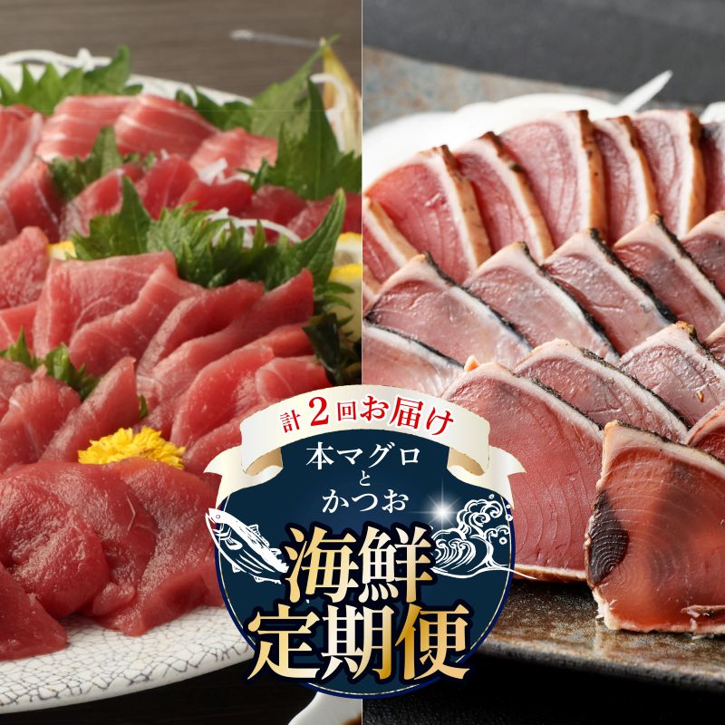【 全2回定期便 】本マグロ と カツオ の 定期便 海鮮 鮪 鰹 定期 セット まぐろ カツオのたたき 本マグロ 中トロ 赤身 刺身 海鮮 鰹 小分け 冷凍 魚 海産物 魚介類 高知県 まぐろたたき 鮪 藁焼き わら焼き タカシン定期便 海鮮定期便 頒布会