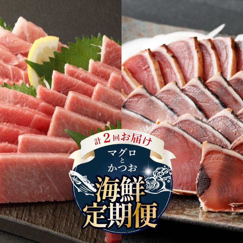 【 全2回定期便 】海鮮 食べ比べ セット 鮪 鰹 定期 セット まぐろ カツオのたたき 本マグロ 中トロ 赤身 刺身 海鮮 鰹 切り落とし 冷凍 海産物 魚介類 高知県 まぐろたたき 鮪 藁焼き わら焼き タカシン定期便 海鮮定期便 頒布会