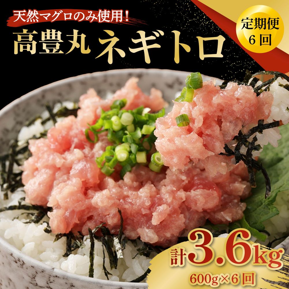 【6回定期便】【訳あり】高豊丸 ネギトロ 合計3.6kg (600g×6回) ふるさと納税限定 高品質 マグロ たたき まぐろのたたき 訳あり 寿司 小分け 海鮮丼 手巻き寿司 惣菜 規格外 不揃い 冷凍 頒布会