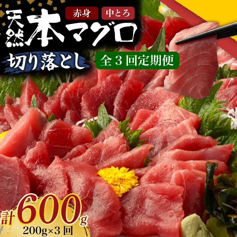 【 3回定期便 】 天然本マグロ 中トロ 赤身 切り落とし 200g 小分け(100g×2パック) 訳あり マグロ 刺身 カルパッチョ まぐろ丼 まぐろ漬け丼 魚 惣菜 海鮮丼 魚介類 食べきりサイズ 父の日 冷凍 不揃い クロマグロ 黒マグロ