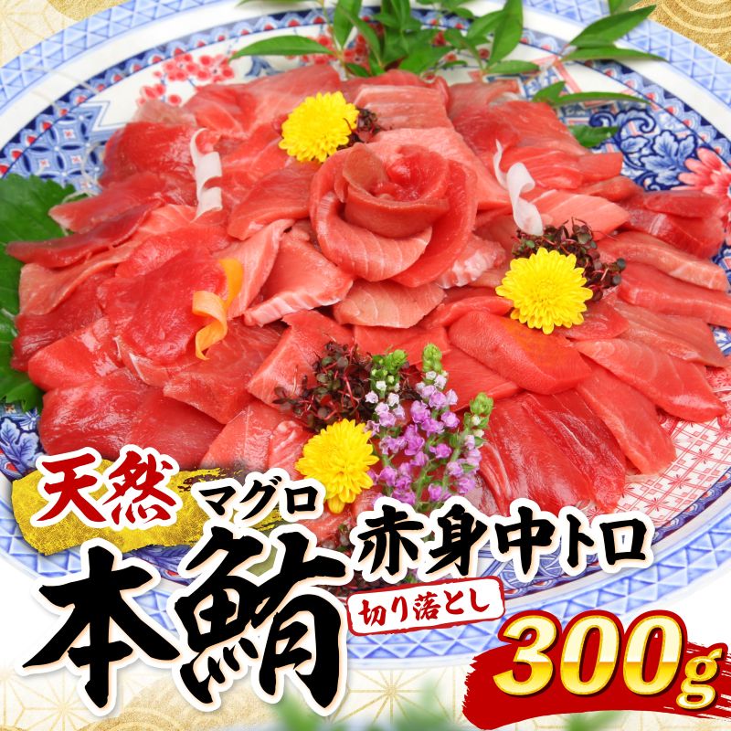 天然本マグロ 中トロ 赤身 切り落とし 300g 小分け(100g×3パック) 訳あり マグロ 刺身 カルパッチョ まぐろ丼 まぐろ漬け丼 魚 惣菜 海鮮丼 魚介類 食べきりサイズ 父の日 冷凍 不揃い クロマグロ 黒マグロ