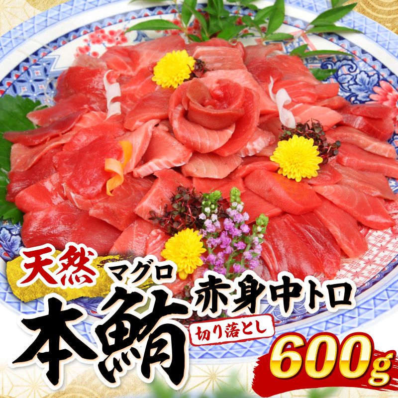 天然本マグロ 中トロ 赤身 切り落とし 600g 小分け (100g×6パック) 訳あり マグロ 刺身 カルパッチョ まぐろ丼 まぐろ漬け丼 魚 惣菜 海鮮丼 魚介類 食べきりサイズ 冷凍 不揃い