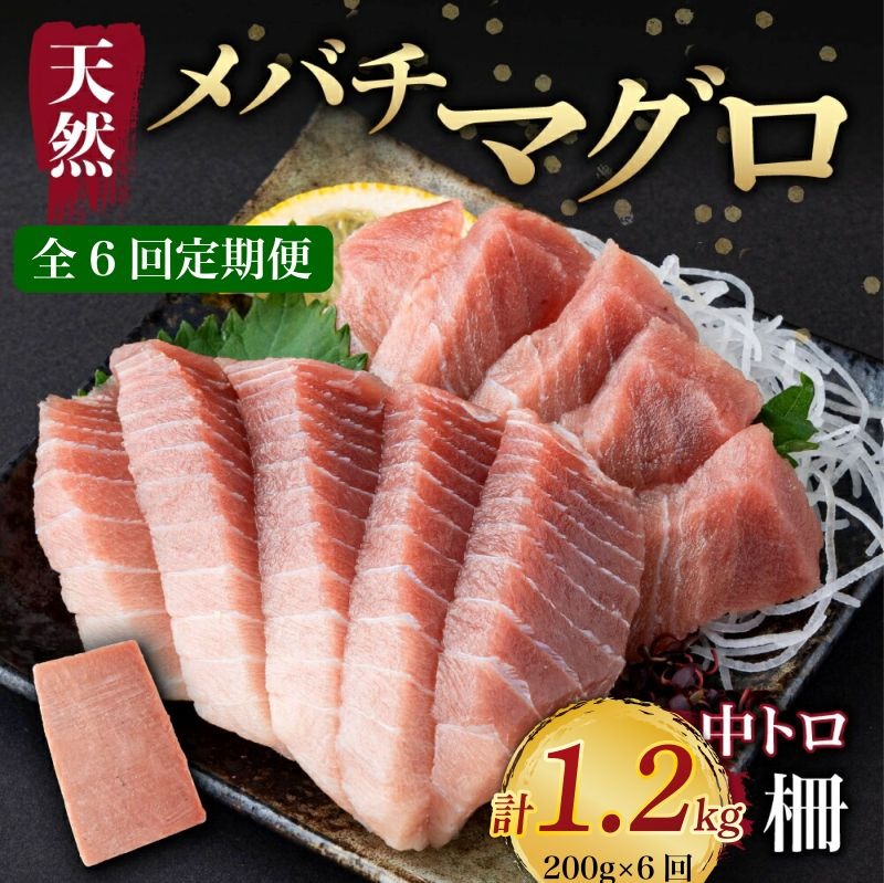 【 6回定期便 】 天然メバチマグロ 【 中トロ 】200ｇ（柵） メバチマグロ めばちまぐろ めばち メバチ まぐろ マグロ 鮪 サク 柵 中トロ 天然 天然まぐろ 天然マグロ 刺身 お刺身 食べ比べ 海鮮丼 丼 魚 さかな 新鮮 高知 室戸 冷凍 小分け 海鮮