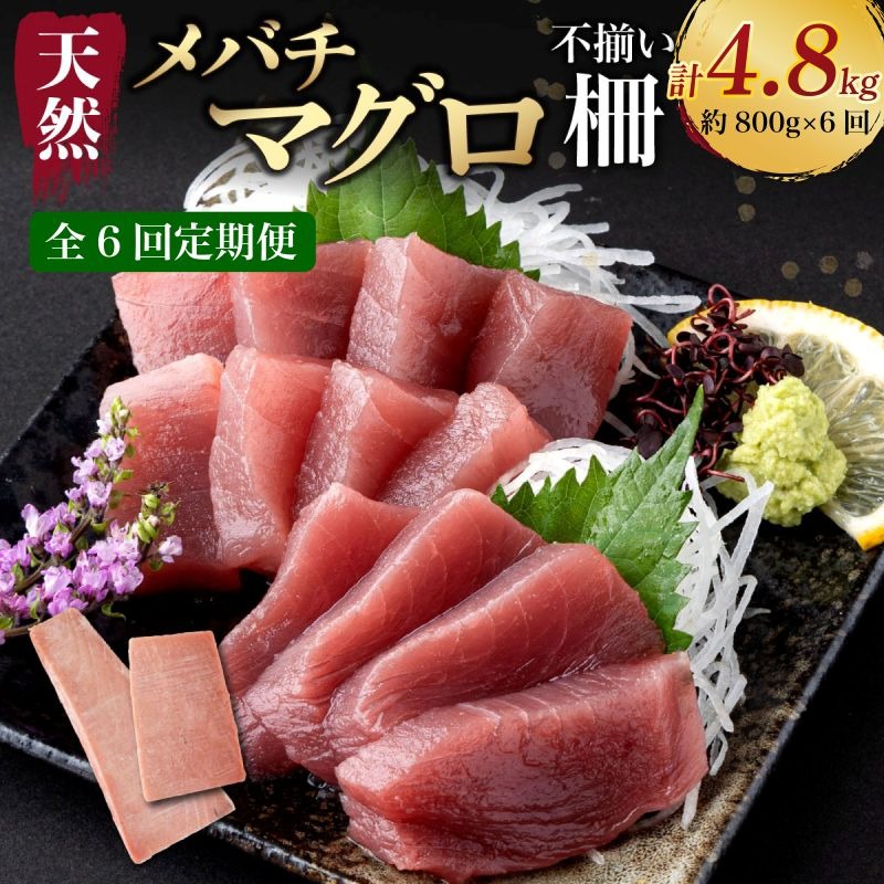 【 6回定期便 】訳あり 天然メバチマグロ 800g  (不揃い柵) メバチマグロ めばちまぐろ めばち メバチ まぐろ マグロ 赤身 鮪 サク 柵 中トロ 天然 天然まぐろ 天然マグロ 刺身 あかみ お刺身 食べ比べ 海鮮丼 丼 魚 さかな 新鮮 高知 室戸 冷凍 小分け 海鮮