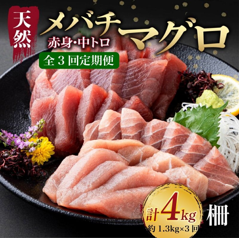 【 3回定期便 】 天然 マグロ 中トロ 赤身 柵 計1.3kg以上 サク さく メバチ 天然まぐろ マグロ 鮪 まぐろ 100% 冷凍 刺身 海鮮 丼 刺し身 小分け 高知 室戸