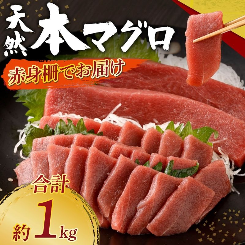 天然本まぐろ 赤身サク 合計約1kg 【日時指定可】 刺身 お刺し身 柵 マグロ 鮪 ちらし寿司 手巻き寿司 おかず 海鮮丼 マグロ丼 マグロ漬け丼 魚介類 真空パック 父の日 惣菜 訳あり 規格外 高豊丸 冷凍