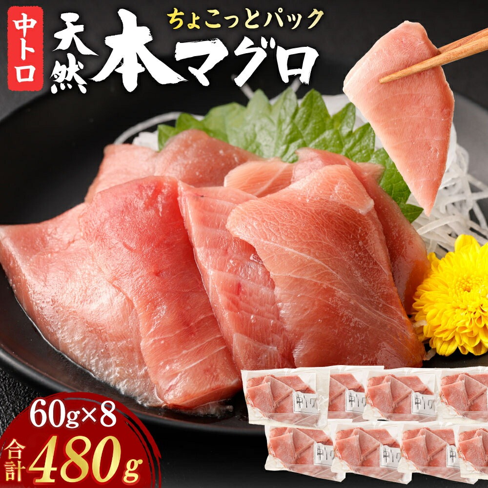 【天然本まぐろ 中トロ】 480g 60g×8パック 切落し お手軽 食べきりサイズ 切り落とし お刺身 魚介類 海鮮 小分け 魚 天然まぐろ 魚貝 マグロ 高知県 簡単解凍 簡単調理 惣菜 冷凍