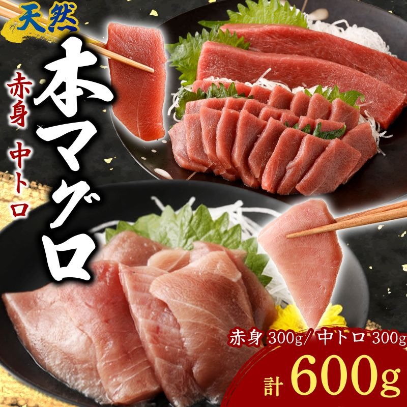 天然本まぐろ 赤身 中トロ 切落し お手軽 ちょこっとパック 合計600g 食べきりサイズ 切り落とし お刺身 魚介類 海鮮 小分け 魚 海産物 魚貝 マグロ 父の日 高知県 簡単解凍 簡単調理 惣菜 冷凍