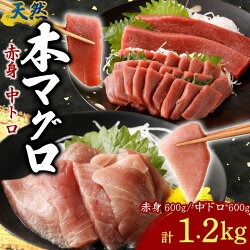 天然本まぐろ 赤身 中トロ 切落し お手軽 ちょこっとパック 合計1.2kg 食べきりサイズ 切り落とし お刺身 魚介類 海鮮 小分け 魚 海産物 魚貝 マグロ 父の日 高知県 簡単解凍 簡単調理 惣菜 冷凍