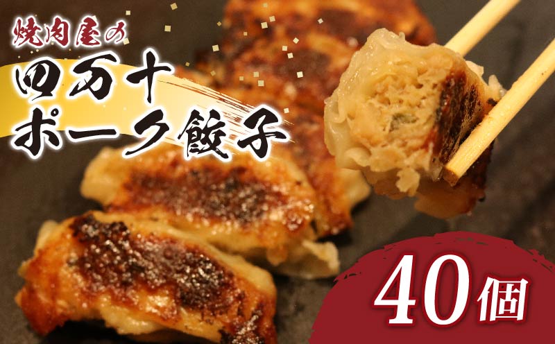 餃子 四万十ポーク手作り餃子 ご家庭用 40個