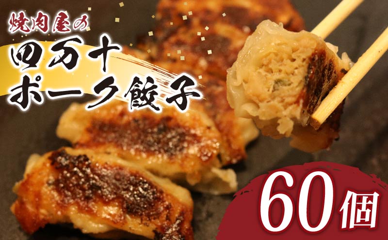 餃子 ヤマジュウの特選！四万十ポーク手作り餃子 60個