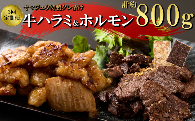 ヤマジュウの特選タレ漬け！牛ハラミ肉＆国産牛ホルモン計８００ｇ【３回定期便】