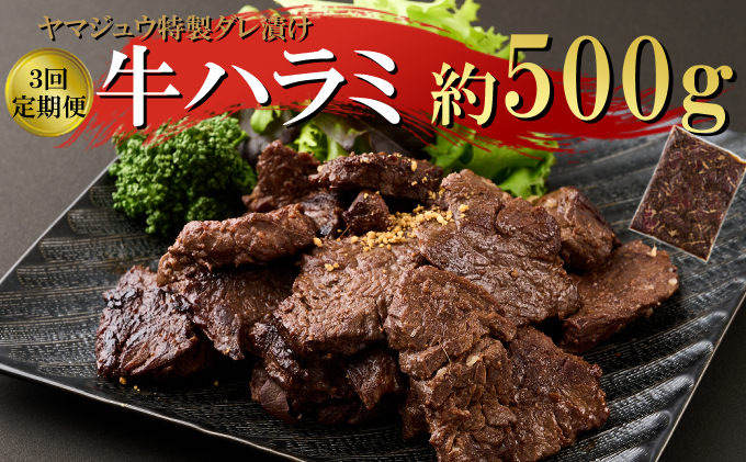 ヤマジュウの特製タレ漬け！牛ハラミ肉５００ｇ【３回定期便】