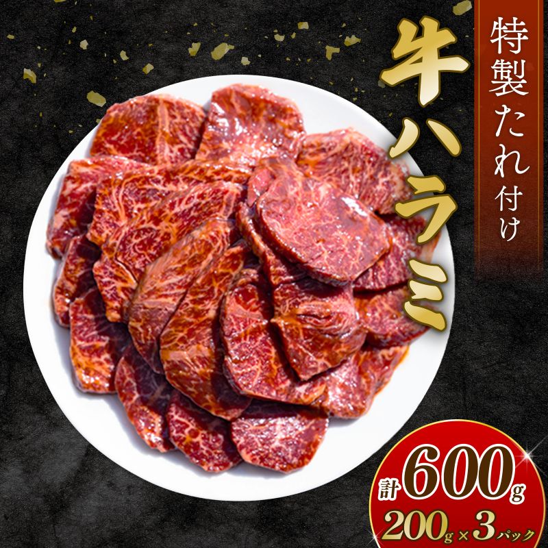 自家製 牛ハラミ たれ漬け 200g×3パック 計600g 訳あり 数量限定 牛肉 焼肉 焼き肉 BBQ バーベキュー ハラミ肉 タレ漬けハラミ 小分け 【(有)山重食肉】（室戸海洋深層水塩使用）