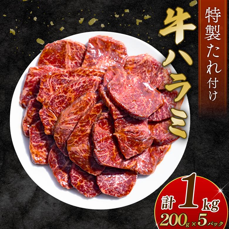 自家製 牛ハラミ たれ漬け 200g×5パック 計1kg 訳あり 数量限定 牛肉 焼肉 焼き肉 BBQ バーベキュー ハラミ肉 タレ漬けハラミ 小分け 【(有)山重食肉】（室戸海洋深層水塩使用）