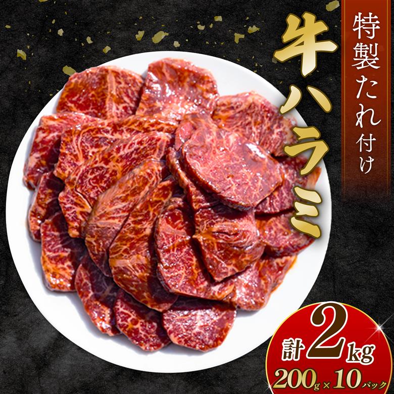 自家製 牛ハラミ たれ漬け 200g×10パック 計2kg 訳あり 数量限定 牛肉 焼肉 焼き肉 BBQ バーベキュー ハラミ肉 タレ漬けハラミ 小分け 【(有)山重食肉】（室戸海洋深層水塩使用）