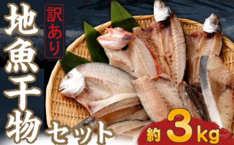 [訳あり]地魚干物セット(約3kg) 干物 セット 定期便 魚介類 室戸市