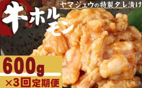 ヤマジュウの特製タレ漬け!国産牛ホルモン600g[3回定期便]