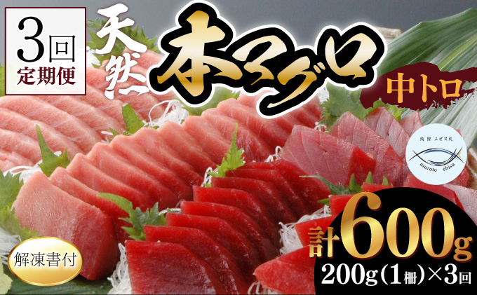 [3回定期便]天然本マグロ 中トロ 1柵 解凍書付 海鮮 魚介 鮪 惣菜 冷凍 クロマグロ