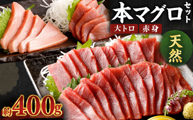 厳選天然本マグロ大トロ・赤身食べきりセット[約400g] マグロ マグロ マグロ マグロ マグロ マグロ マグロ マグロ マグロ マグロ マグロ マグロ マグロ マグロ マグロ マグロ マグロ マグロ