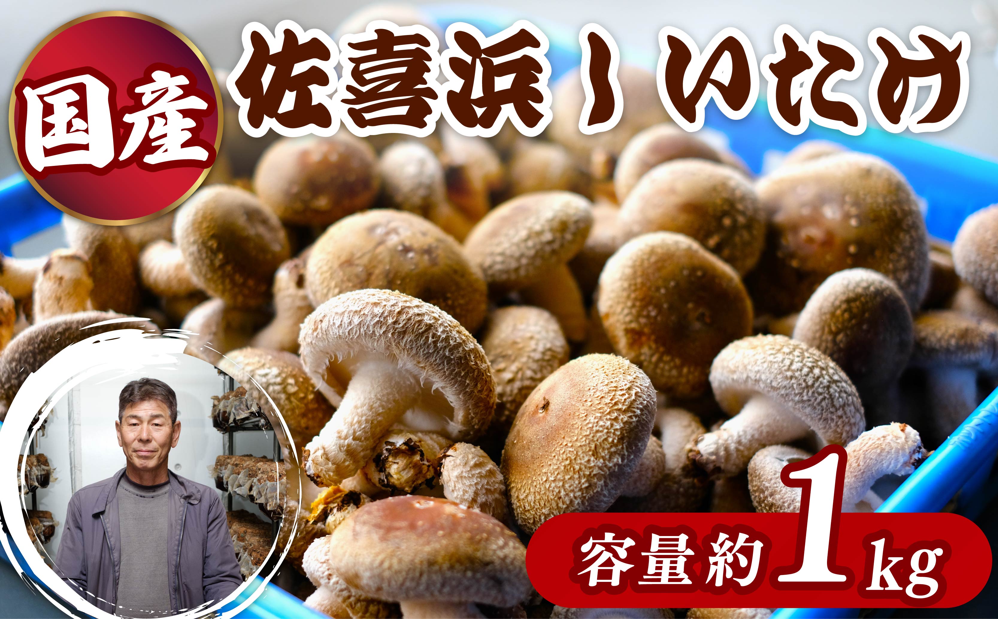 佐喜浜しいたけ 約1kg 国産 高知県 椎茸 シイタケ