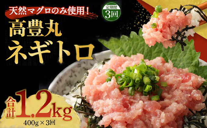 ネギトロ 定期便 3か月連続 大容量 1.2kg (200g×2パック×3か月) 天然 鮪 高知 まぐろたたき ねぎとろ 冷凍 小分け 便利 室戸市