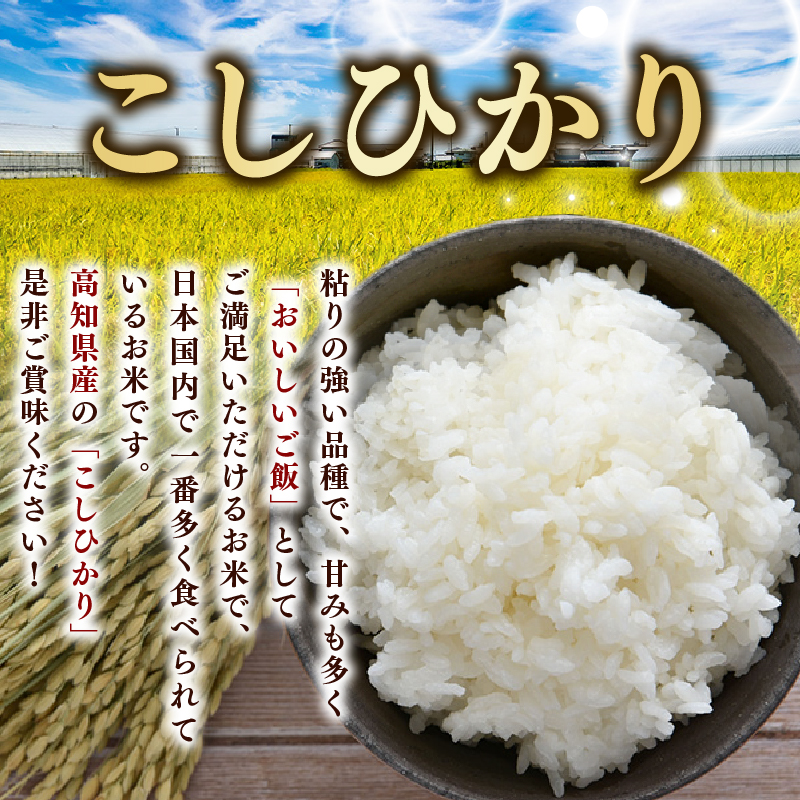 【令和7年産】 米 こしひかり 5kg 定期便 3ヶ月 計 15kg お米 白米 精米 コシヒカリ ごはん ご飯 高知県産 弁当 おにぎり 料理 超早場米 粘り 甘み 人気 ブランド米 食味 食べ比べ 美味しい 食卓 日本の味 炊き立て 冷めても 美味しい 贈り物 ギフト 贈答用 一人暮らし 家族向け 食事 朝食 昼食 夕食 安芸市 高知県