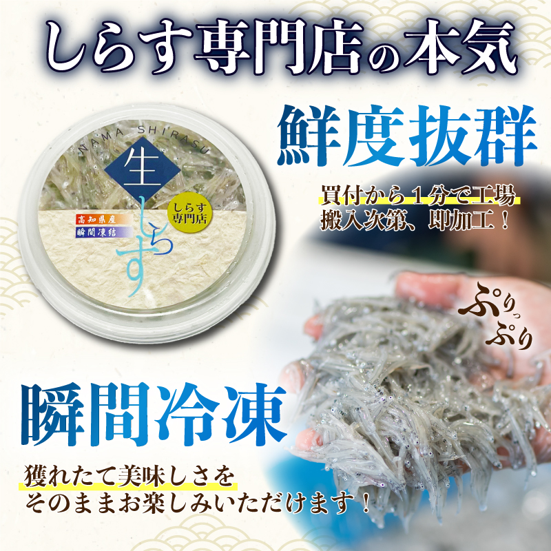 土佐のお刺身「生しらす」6個セット <タレなし>