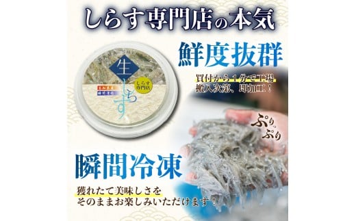 土佐のお刺身「生しらす」10個セット <しらす出汁を使った特製のポン酢タレ付き>