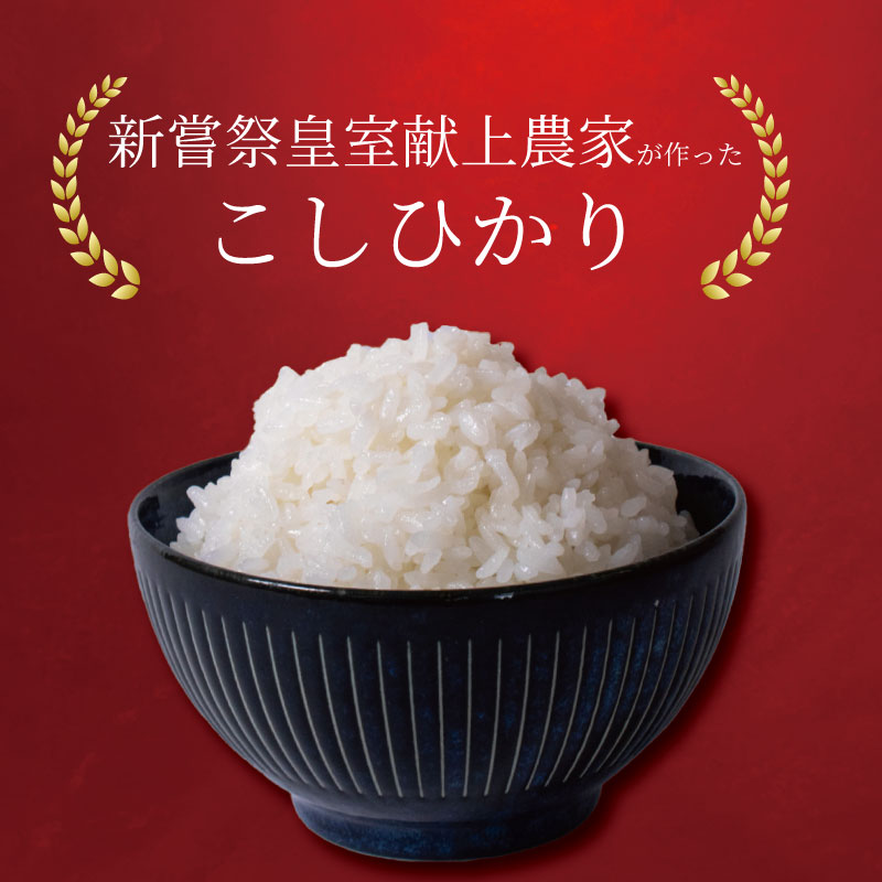 令和8年産 コシヒカリ 白米 3ヵ月連続 定期便 5kg × 3回 15kg