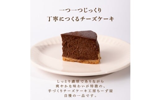 5回 定期便 チーズケーキ チョコレートニューヨーク 4号 12cm 冷凍 手作り お土産 お取り寄せ 冷蔵 チーズ ケーキ チョコ お菓子 洋菓子 おやつ デザート 手づくりチーズケーキ工房 ちーず屋 手作りちーずけーき 高知県 安芸市