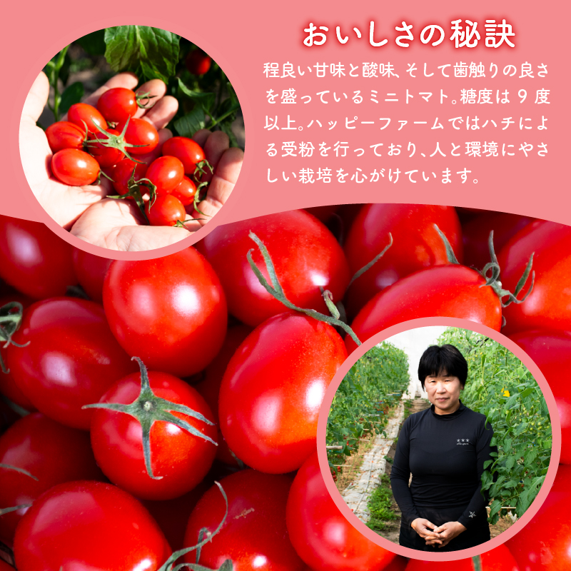 【先行予約】 ハッピートマト 2kg トマト フルーツトマト 野菜 糖度 とまと