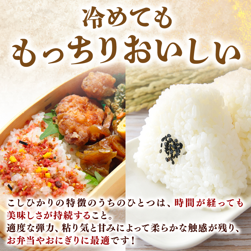 【令和7年産】 米 こしひかり 5kg 定期便 3ヶ月 計 15kg お米 白米 精米 コシヒカリ ごはん ご飯 高知県産 弁当 おにぎり 料理 超早場米 粘り 甘み 人気 ブランド米 食味 食べ比べ 美味しい 食卓 日本の味 炊き立て 冷めても 美味しい 贈り物 ギフト 贈答用 一人暮らし 家族向け 食事 朝食 昼食 夕食 安芸市 高知県