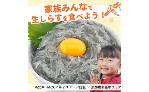 土佐のお刺身「生しらす」10個セット <タレなし>