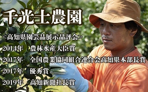 【R8年発送】 土佐文旦 L~4L 約5kg 訳あり フルーツ 柑橘 ぶんたん 特産品 高知県産 家庭用 果物 ジューシー 爽やか 酸味 甘み 芳香 2月 3月 4月 熟成 贈答用 ギフト 旬 季節限定 千光士農園 安芸市 高知県