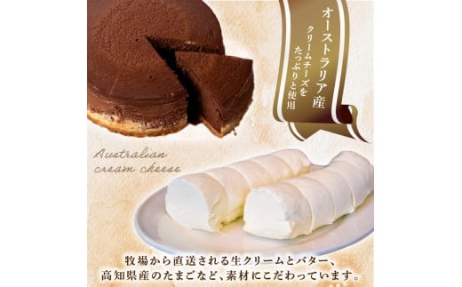 5回 定期便 チーズケーキ チョコレートニューヨーク 4号 12cm 冷凍 手作り お土産 お取り寄せ 冷蔵 チーズ ケーキ チョコ お菓子 洋菓子 おやつ デザート 手づくりチーズケーキ工房 ちーず屋 手作りちーずけーき 高知県 安芸市