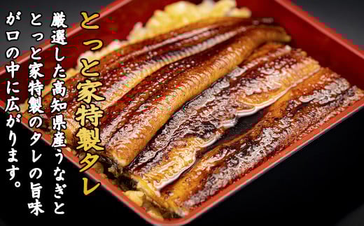 高知名物 藁焼き かつおのタタキ うなぎ蒲焼き 定期便 91-26 【高知満喫定期便】厳選!!藁焼きかつおのタタキ 1節と高知県産うなぎの蒲焼き 1尾セット×12回定期便 かつお タタキ 1節 290～350g うなぎ 170～180g 高知グルメ 特製ポン酢 蒲焼きタレ 清流 職人 ふるさと納税 安芸市 高知県