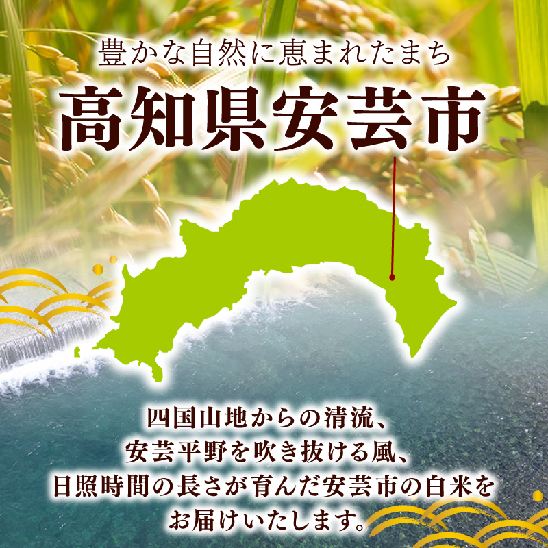 【令和7年産】 米 こしひかり 5kg 定期便 6ヶ月 計 30kg お米 白米 精米 コシヒカリ ごはん ご飯 高知県産 弁当 おにぎり 料理 超早場米 味わい 人気 甘み 粘り 日本国内 食べられる 温暖 気候 収穫 栽培 全国 消費地 寄付 翌月 連続 発送 天候 状況 8月上旬 安芸市 高知県
