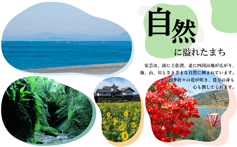 日本酒  純米大吟醸 四万十川 1800ml×1本